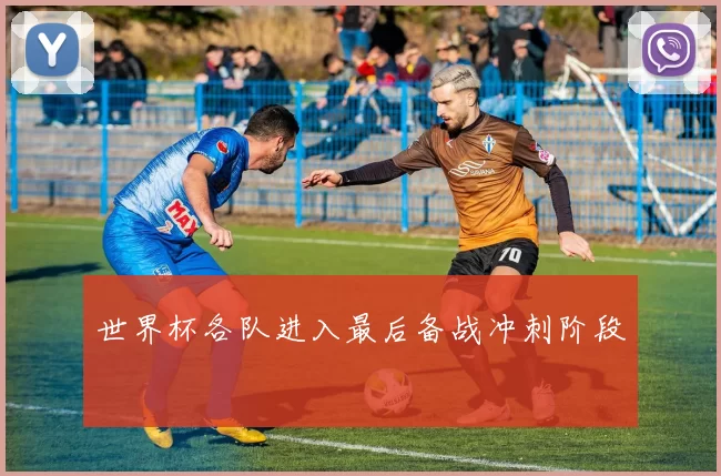 世界杯各队进入最后备战冲刺阶段