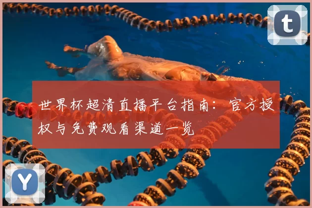 世界杯超清直播平台指南：官方授权与免费观看渠道一览