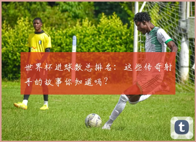 世界杯进球数总排名：这些传奇射手的故事你知道吗？