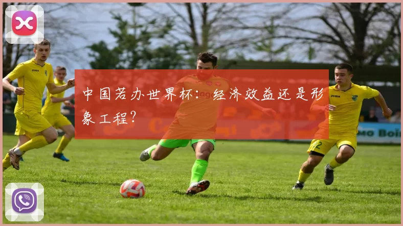 中国若办世界杯：经济效益还是形象工程？