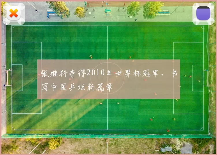 张继科夺得2010年世界杯冠军，书写中国乒坛新篇章