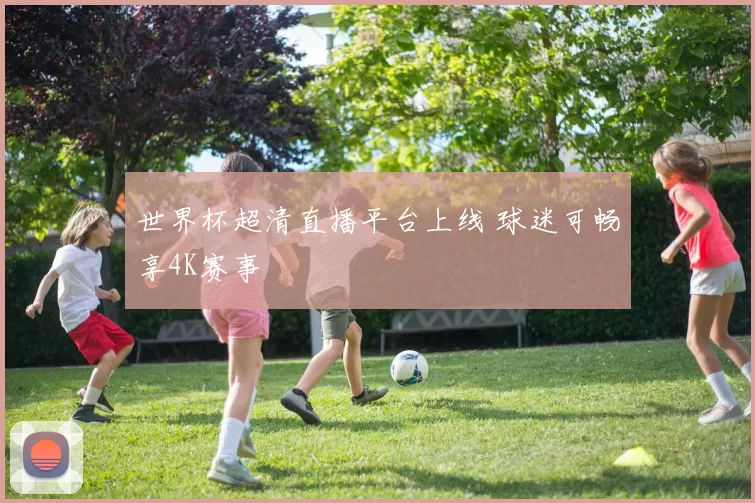 世界杯超清直播平台上线 球迷可畅享4K赛事