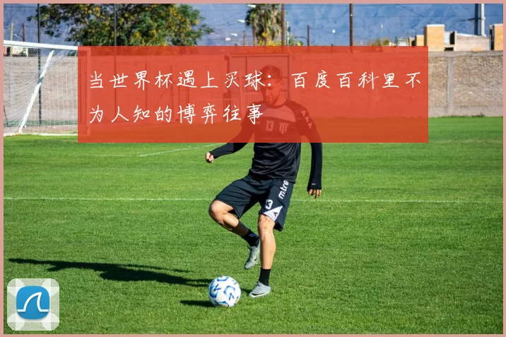 当世界杯遇上买球：百度百科里不为人知的博弈往事