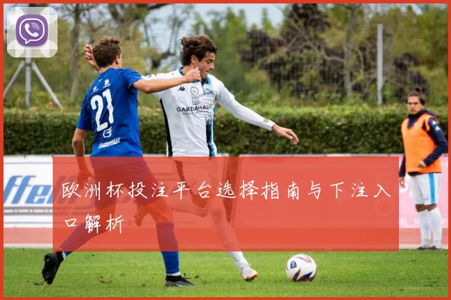 欧洲杯投注平台选择指南与下注入口解析