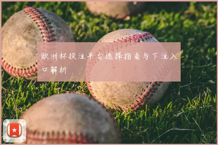 欧洲杯投注平台选择指南与下注入口解析