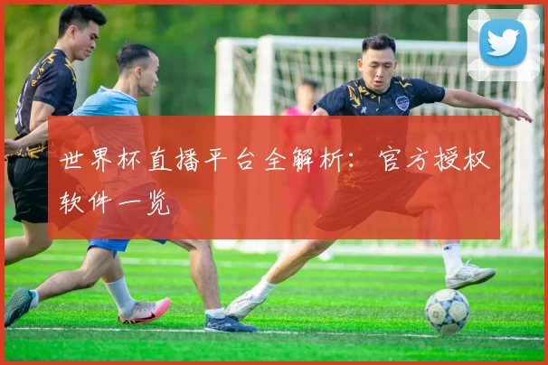 世界杯直播平台全解析：官方授权软件一览